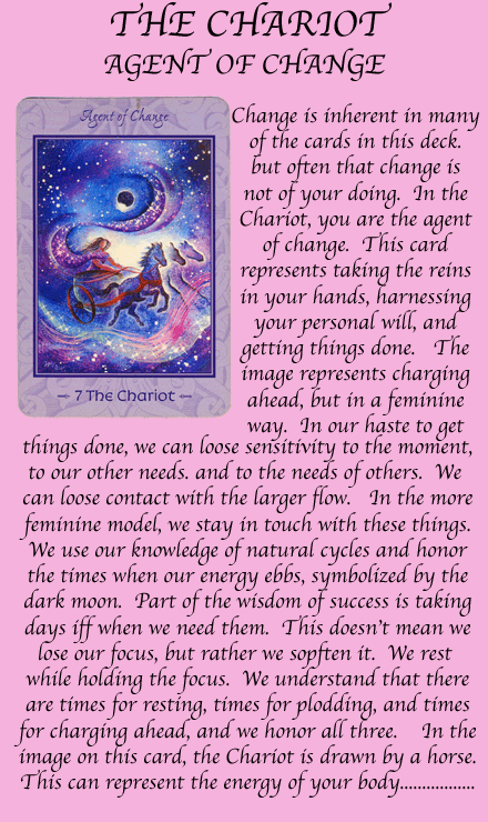 bus snave dagsorden The Visionary Art of Willow Arlenea - Tarot of Transformation Tarot Deck