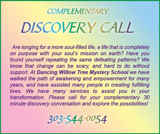 Discovery Call